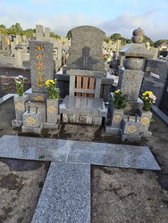 17550514397391.jpg