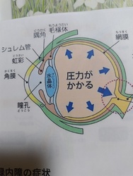 17810669558620.jpg