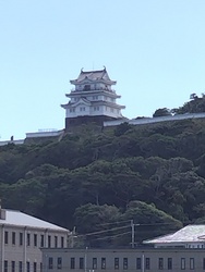 17908221998530.jpg